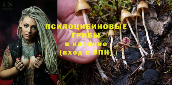 бошки Кулебаки
