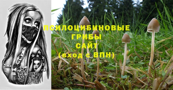 бошки Кулебаки